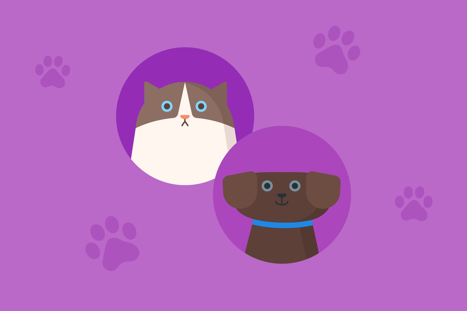 jackpocket team pets